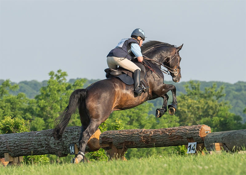 jumping log on XC