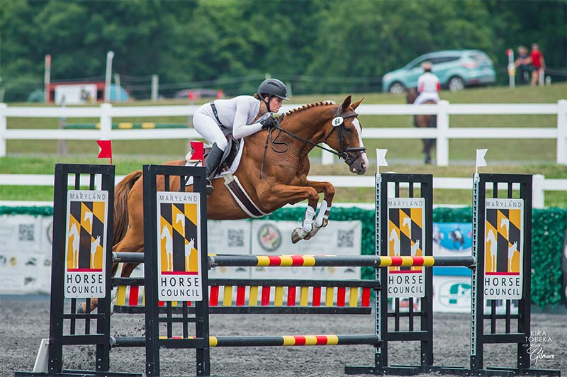 jumping stadium oxer