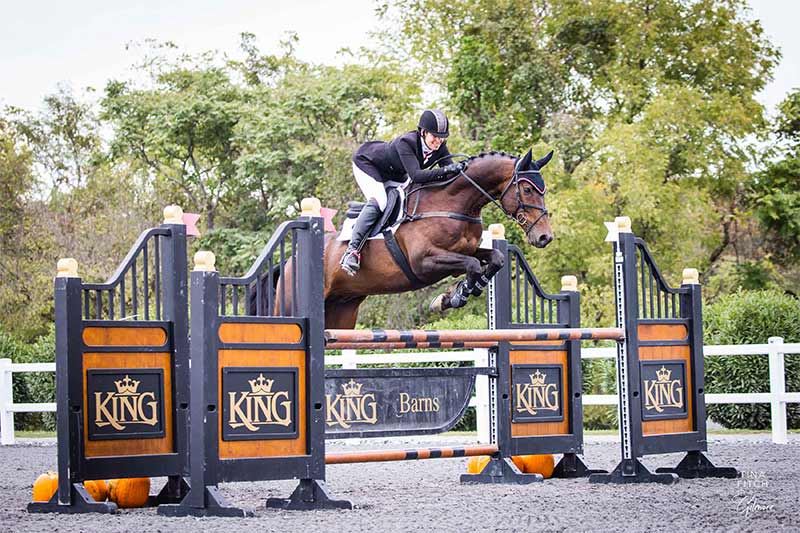 Bay horse jumping "King" oxer in stadium