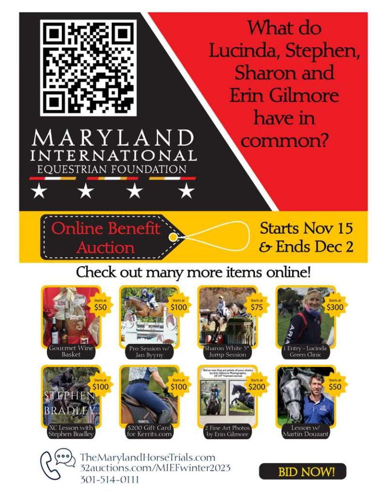 2023 online auction flyer