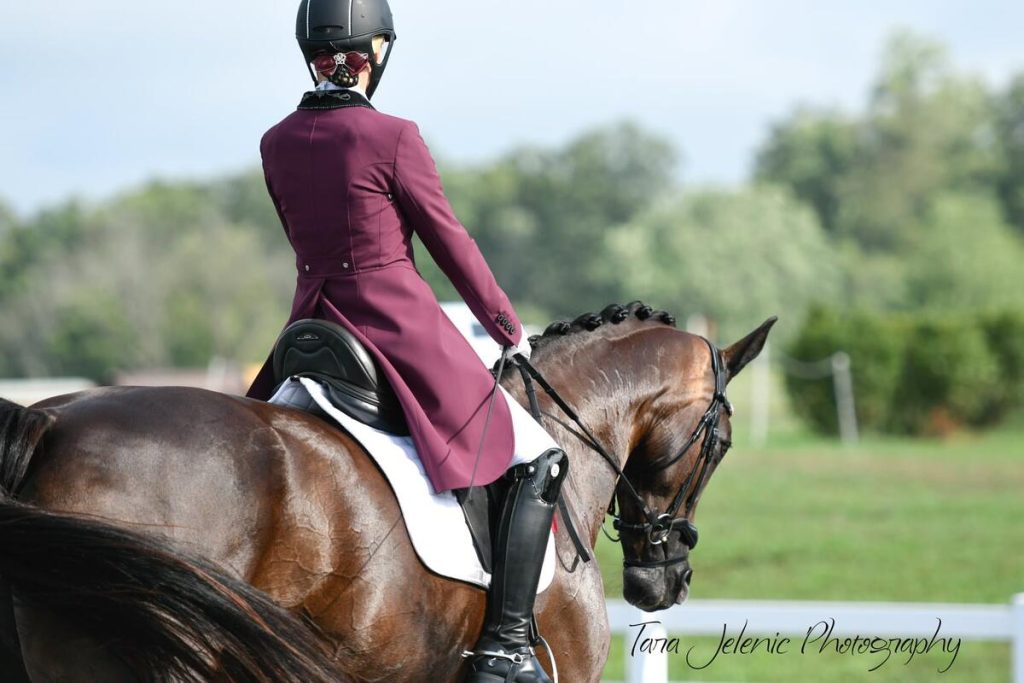Dressage rider in burgundy jacket on braided horse