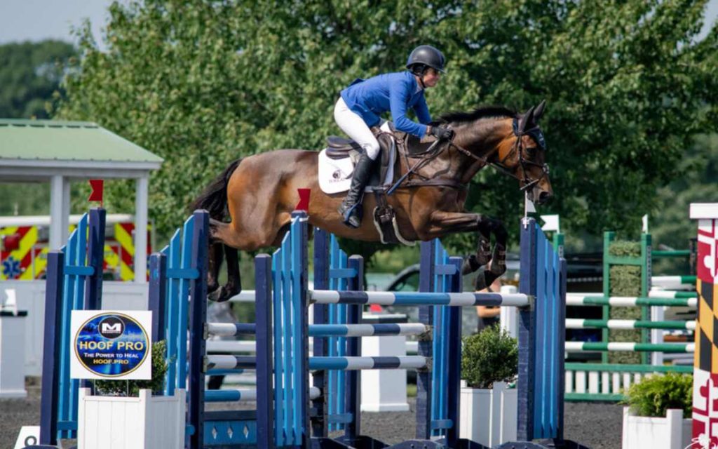 Show jump rider in blue jacket jumping horse over blue oxer