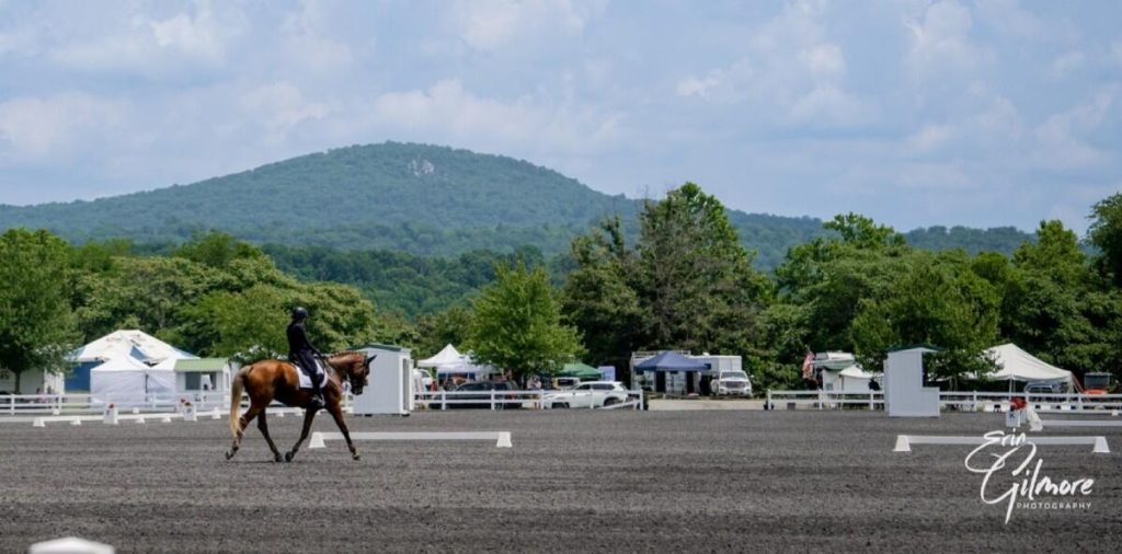 dressage horse and rider in ring