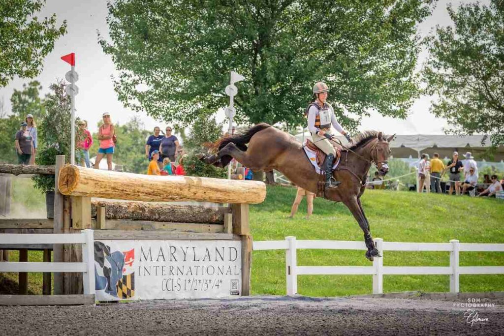 Cross country horse and rider jumping off a bank into an arena with Maryland International banner