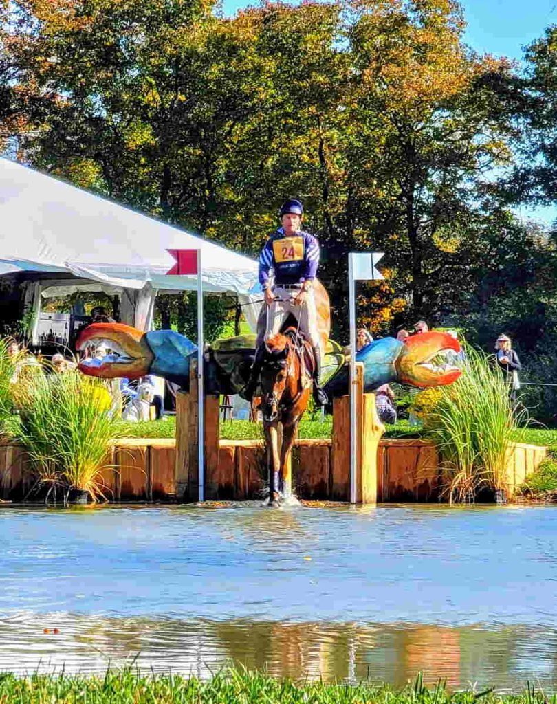 Cross Country horse jumping into water