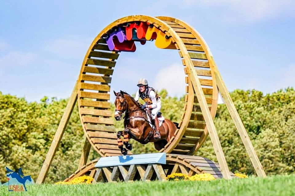 Horse jumping through wooden circle