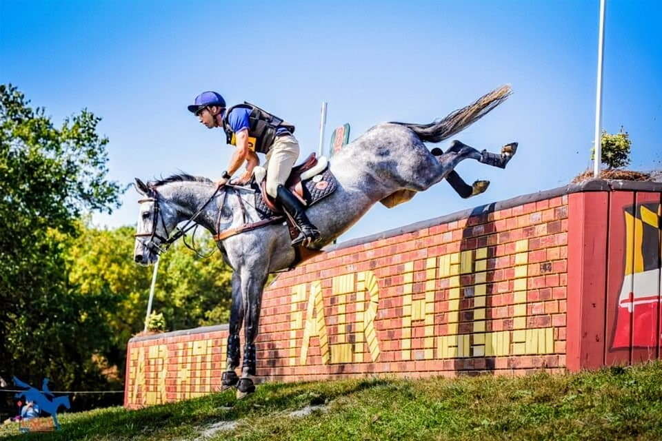 Horse landing from Fair Hill jump