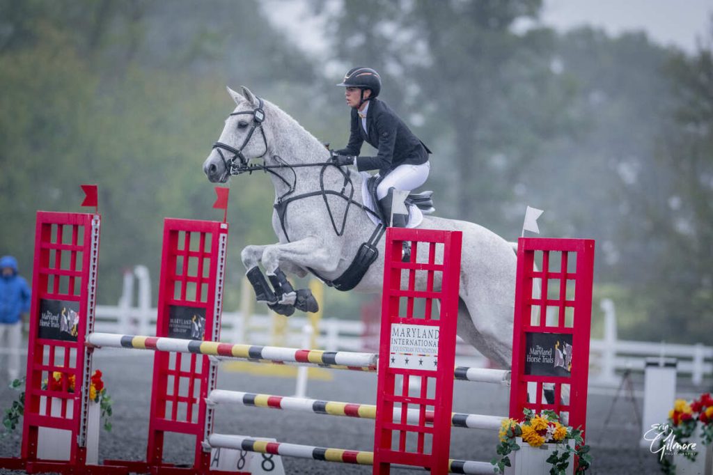Grey horse jumping oxer in stadium