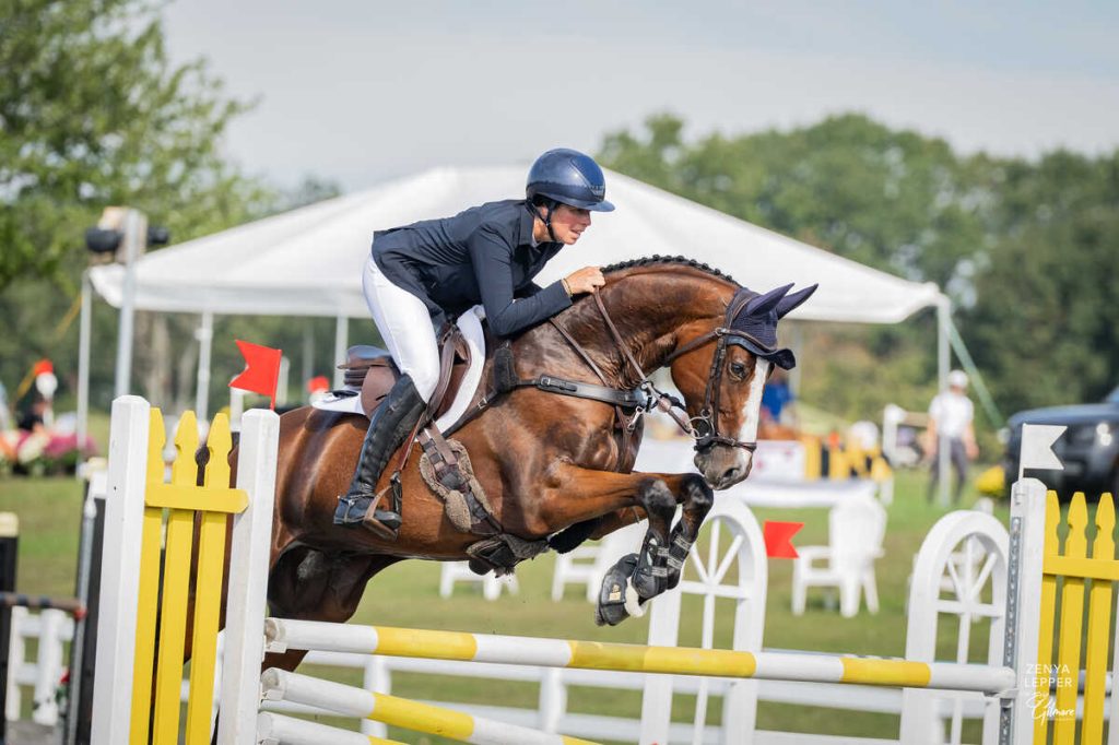 Horse jumping stadium fence