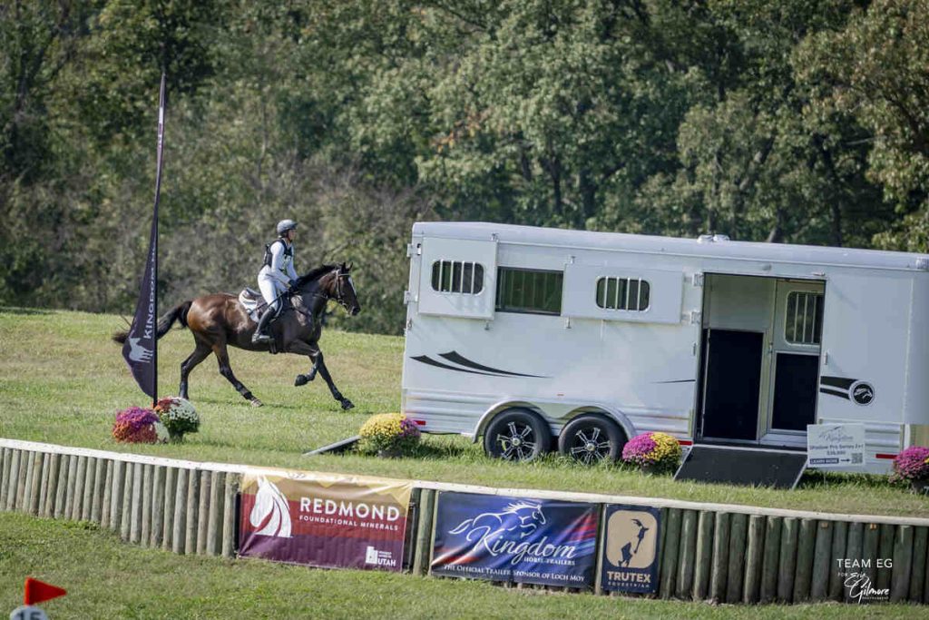 Horse galloping on cross country.