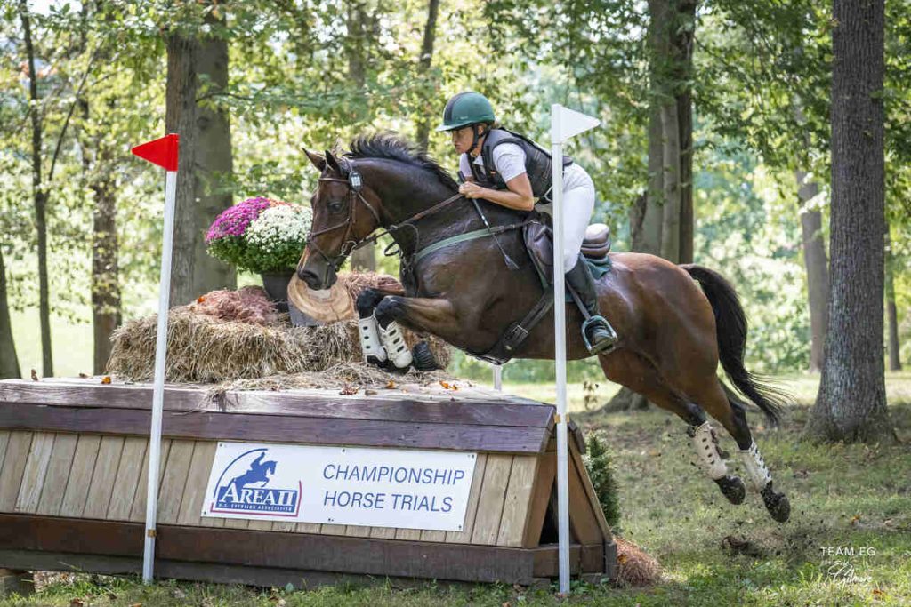 Horse jumping corner on Modified XC