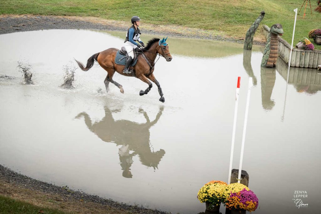 Horse galloping through water