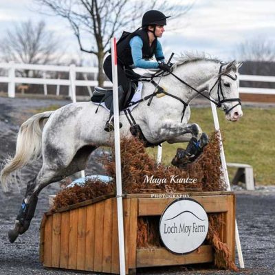 horse jumping derby fence